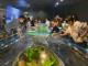 11千歲水族館---淡水魚觸摸區