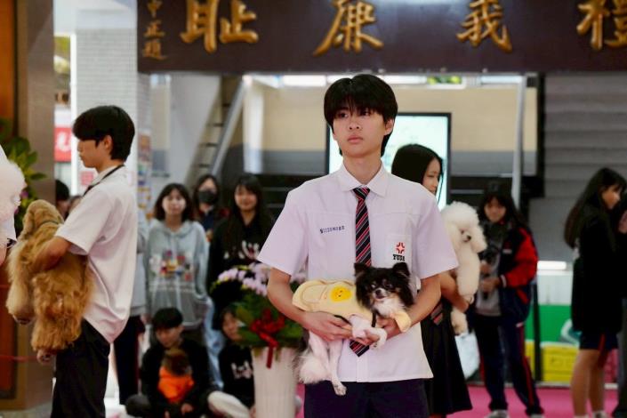高三寵物造型實驗班學生在畢業成果展，以沉穩姿態抱著犬隻步上紅毯，展現兩年多專業訓練的成果。