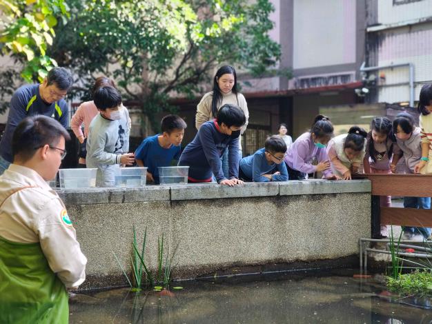 生態保育從小做起！銘傳國小攜手「臺灣原生魚類保育協會」復育史尼氏小䰾，實踐環境永續教育 (3)