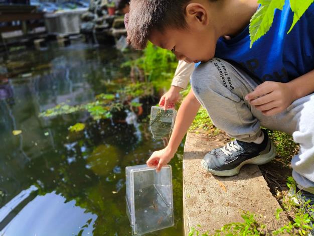 生態保育從小做起！銘傳國小攜手「臺灣原生魚類保育協會」復育史尼氏小䰾，實踐環境永續教育 (7)
