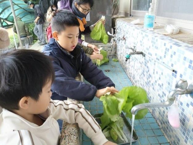 自己清洗、自己處理菜根土壤