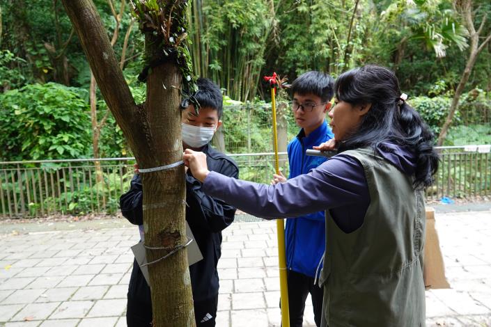 量測校園樹木碳匯,實地體驗淨零行動的科學基礎.JPG
