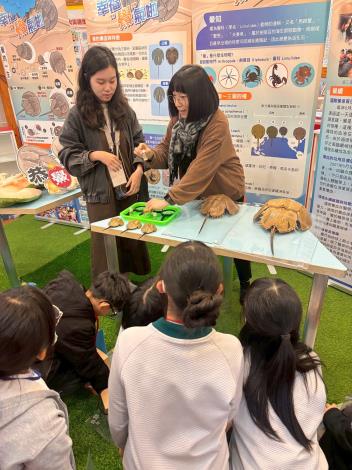 力行海洋教育-鱟標本觀察解說