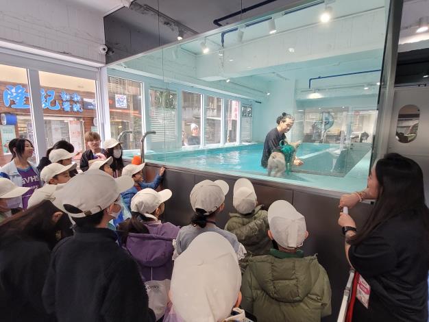 毛孩生活管家- 寵物旅館