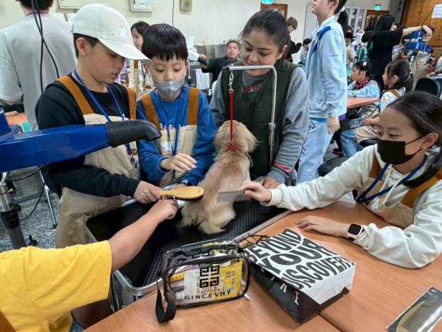 寵物美容動手做 (1)