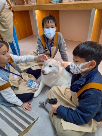 臺北市國小生寵物小達人體驗營  萌寵玩很大 (2)