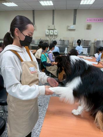 臺北市國小生寵物小達人體驗營  萌寵玩很大 (1)