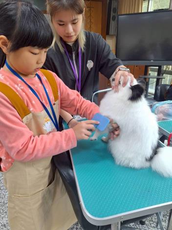 寵物美容動手做 (2)