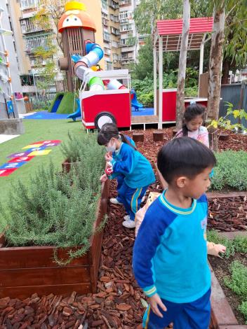 小田園香草區香味撲鼻