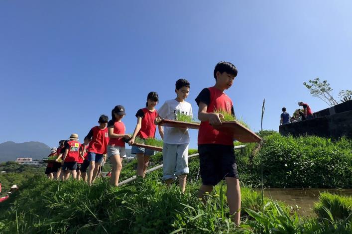 平等國小學生「從頭開始」，將自己所育的苗栽種入水梯田