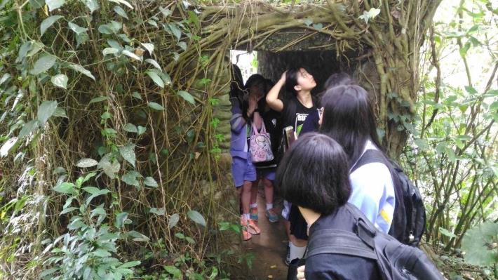 已被藤蔓與樹枝包圍歷史遺跡，形成了許多小動物們的天然屏障。(取自110年度臺北市101環教路線暨教案工作坊成果集)【富陽烈烈，螢火燁燁】