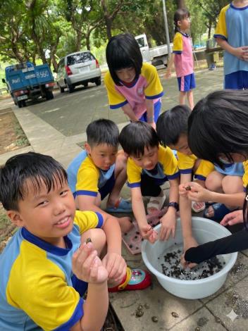在專家指導下，永建國小學童專注辨識原生田螺，也從觀察中體驗生態平衡的重要性。