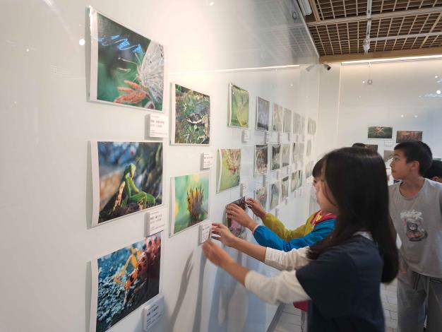 大屯國小第56屆畢業美展《藝言難盡》登場   孩子自己策展、自己當主人　從北投出發走向世界 (2)