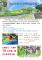 6.大安區族中非營利幼兒園招生海報