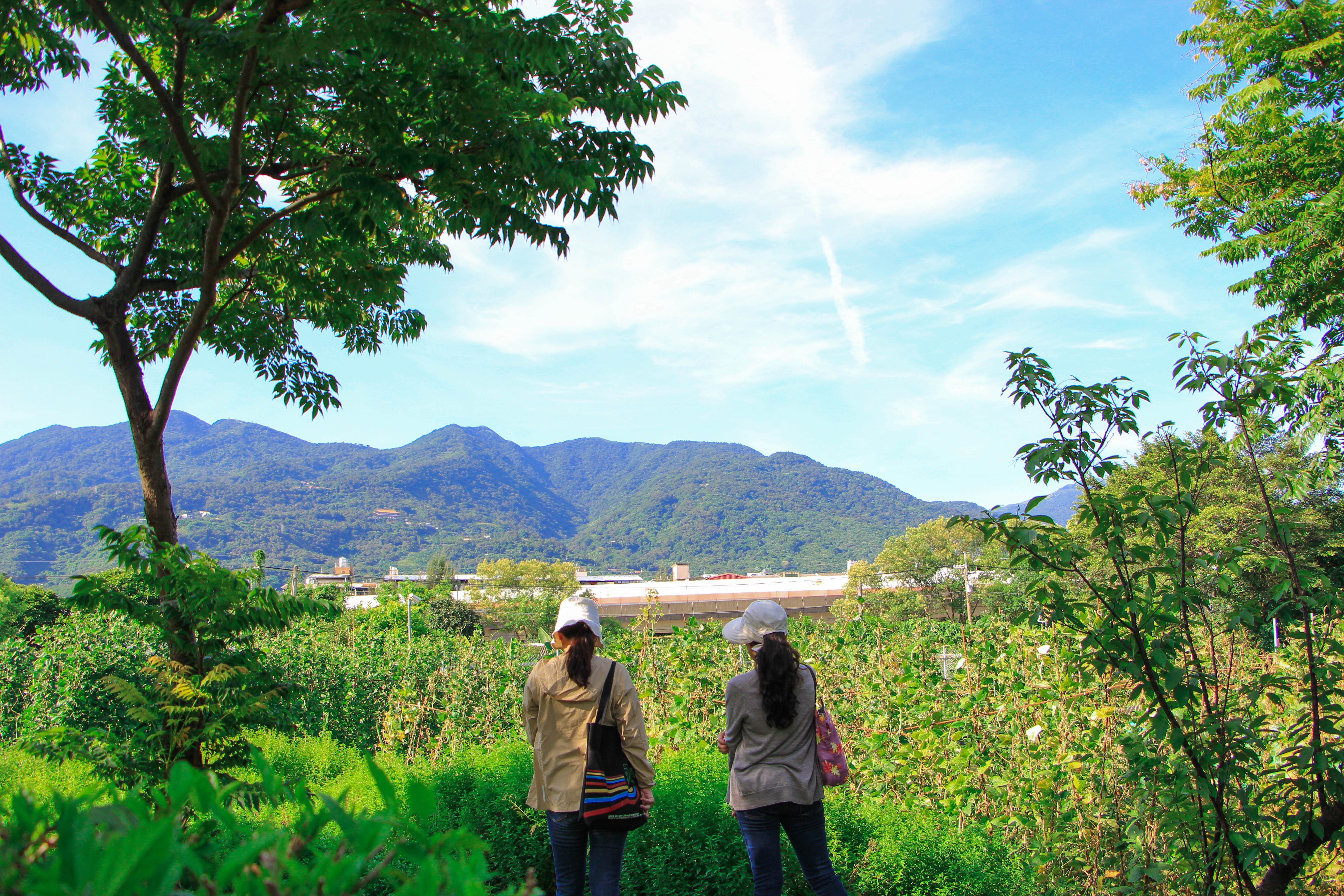 11站在空曠處，可遠眺群山及及捷運淡水線