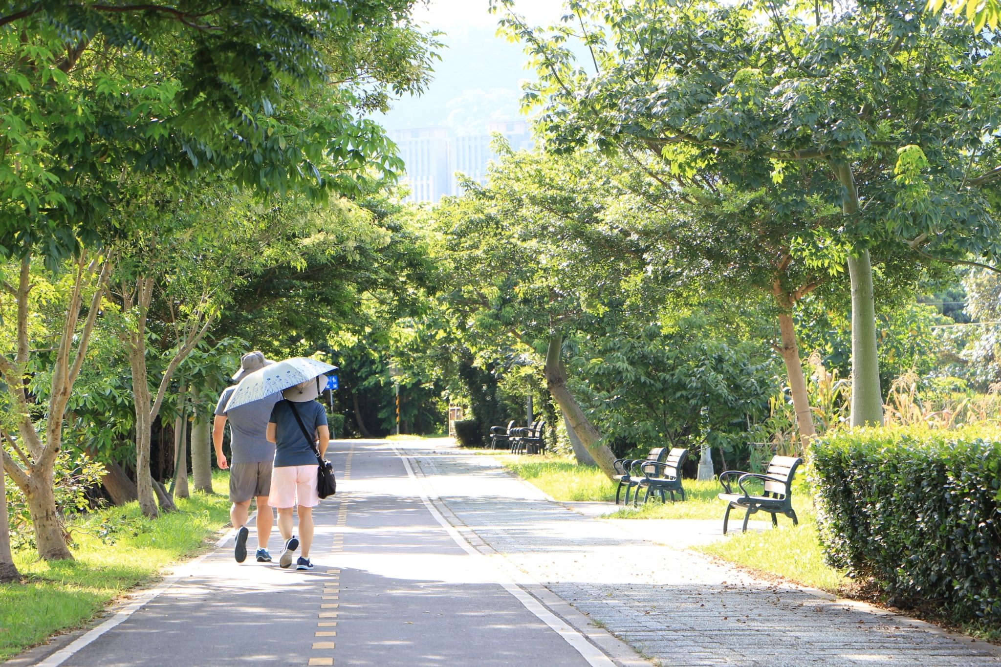 9沿途兩側綠帶種植許多喬木，散步其中也很舒服