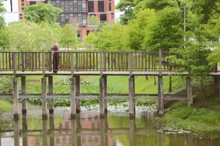 照片2.奇岩一號公園生態池內栽植各種水生植物如：風箱、野薑花、台灣萍蓬草、圓葉節節菜及落羽松等景色非常優美.JPG