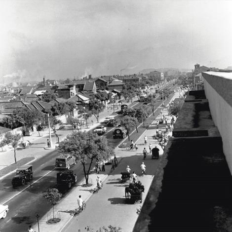 照片5、1950年代敦化北路街景（照片來源：文化部國家文化資料庫）