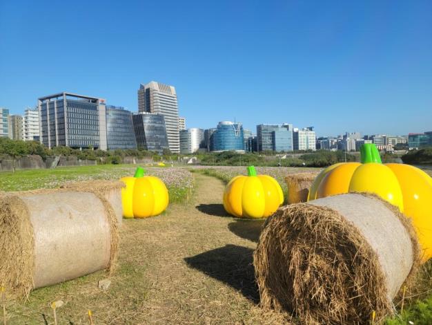 6-位於美堤河濱公園的大南瓜夥伴們。(照片來源：臺北市政府工務局水利工程處)