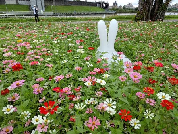 跟著充滿童趣的小兔子探訪童話花園