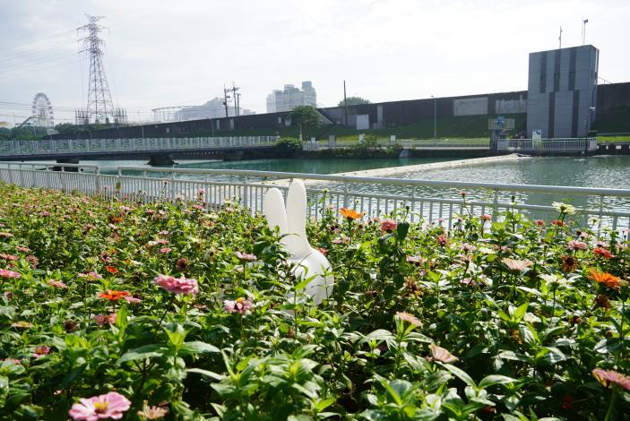 跟著兔子遊花海，順便認識兼具攔蓄水及防潮功能的洲美橡皮壩。(枯水期時透過空氣或水，使橡皮壩膨脹截流水源蓄水；在洪水期間，則將橡皮壩收缩倒伏渲洩洪水。)