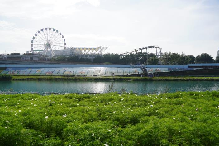 從花海眺望兒童新樂園