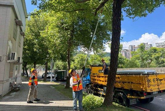 公園處加強修剪疏枝，積極做好防災整備
