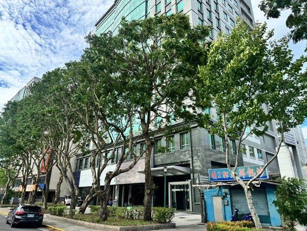 113年度北區行道樹修剪預約工程