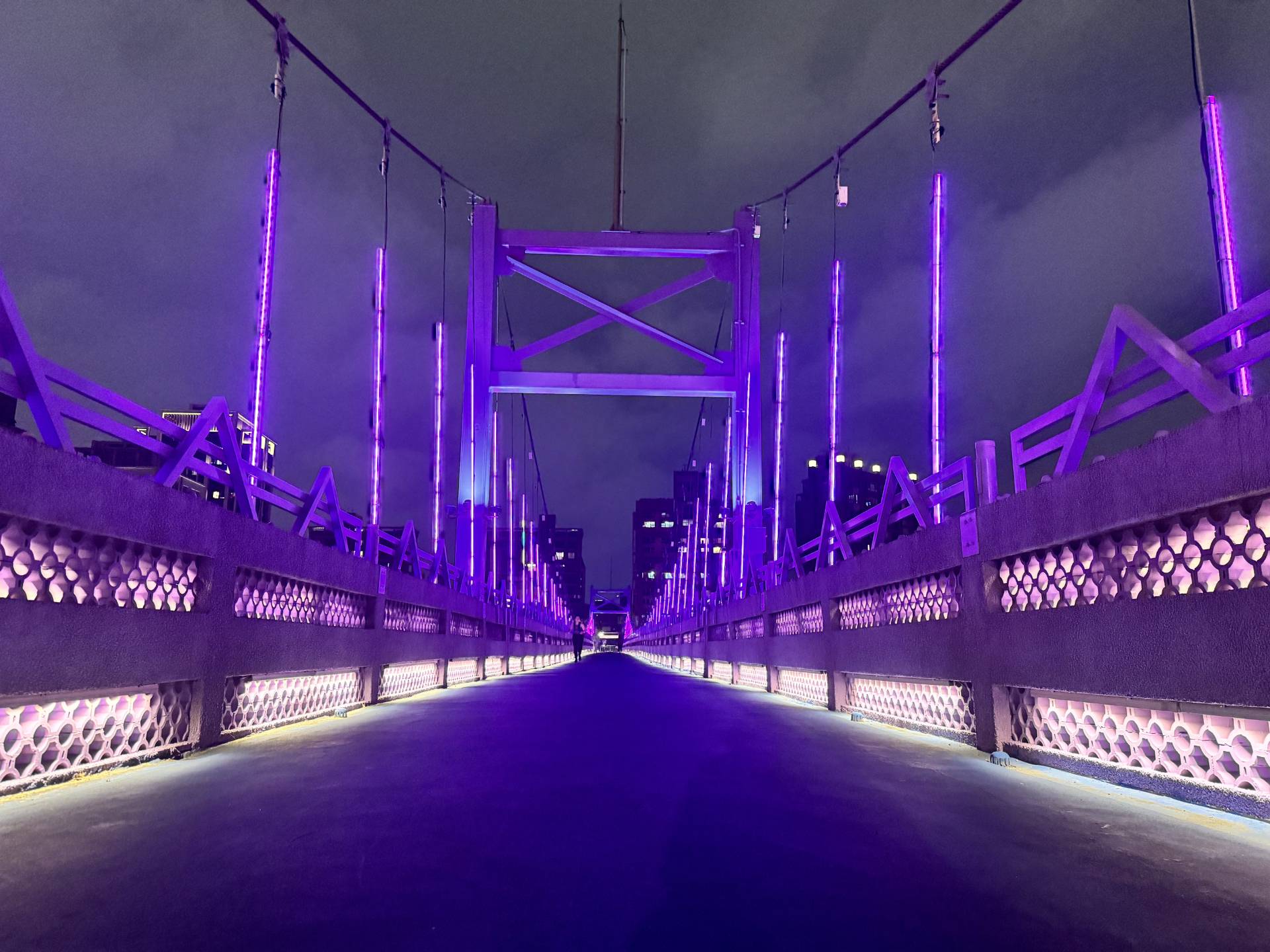 紫光橋梁「成美長壽橋 