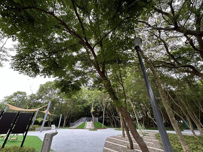 公園處_樹光。樹與光的相遇-山仔后公園
