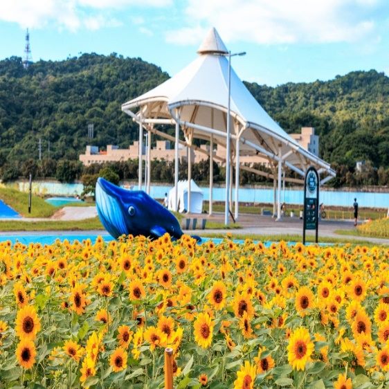 水利處_臺北市河濱公園花海