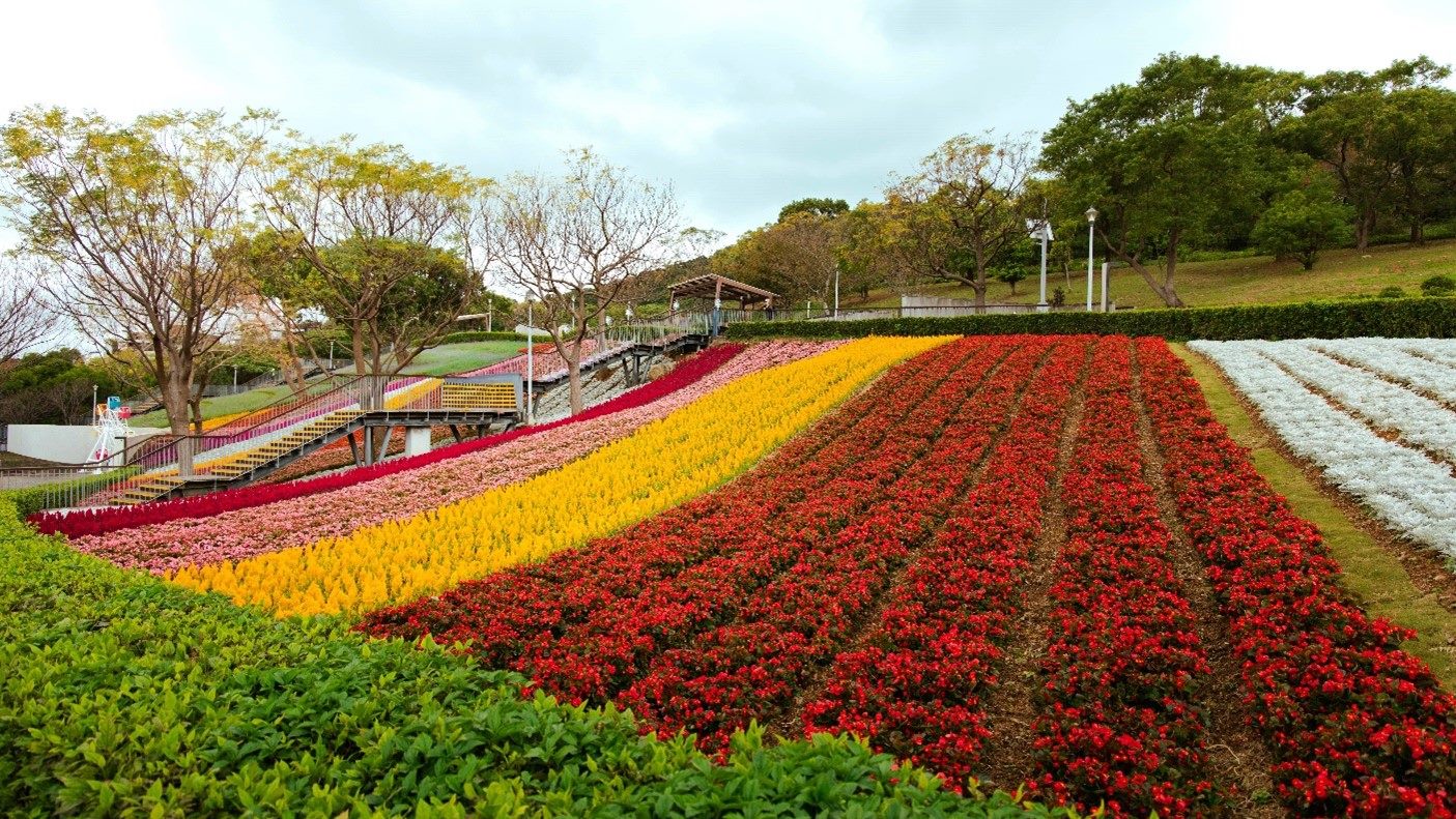 公園處_北投社三層崎花海