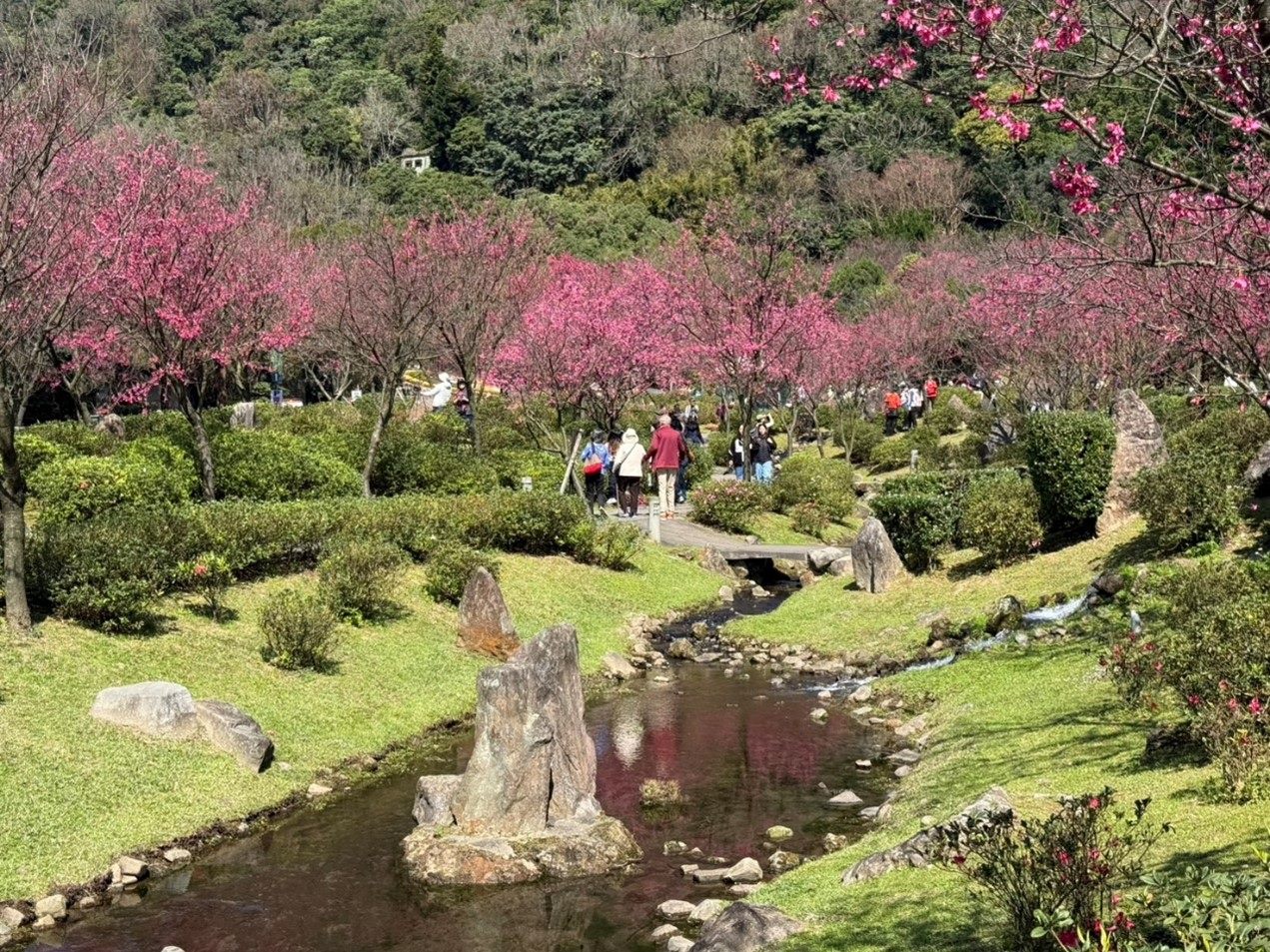 公園處_陽明山花季