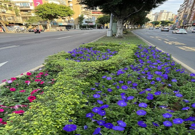 公園處_就是要張揚! 彩色矮牽牛彩繪北市道路