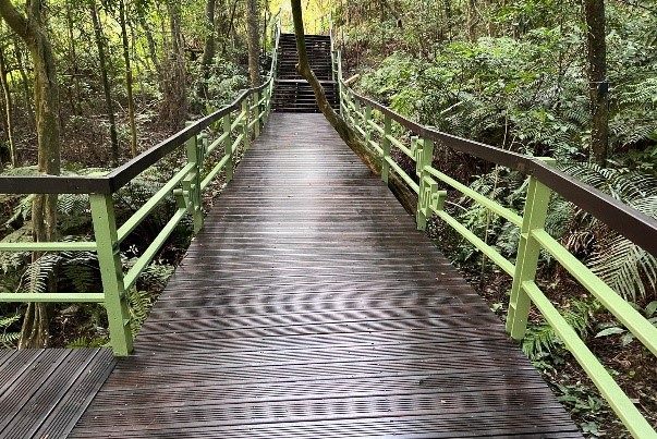大地處_大崙頭森林步道整體改善更新
