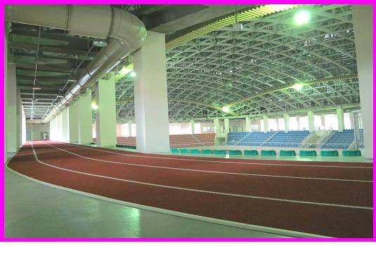 體育館室內田徑跑道