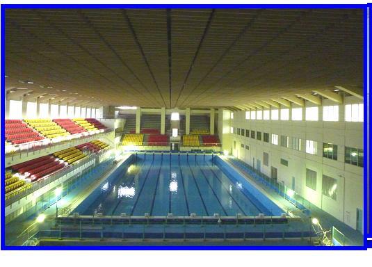 綜合體育館地下一樓 25x50m標準游泳池