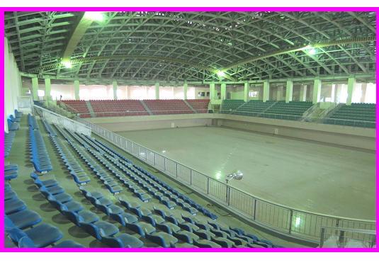 綜合體育館多用途競賽場