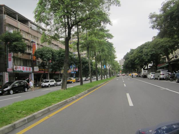 健康路(光復北路至寶清街)