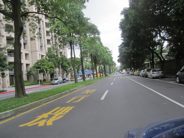 健康路(光復北路至寶清街)