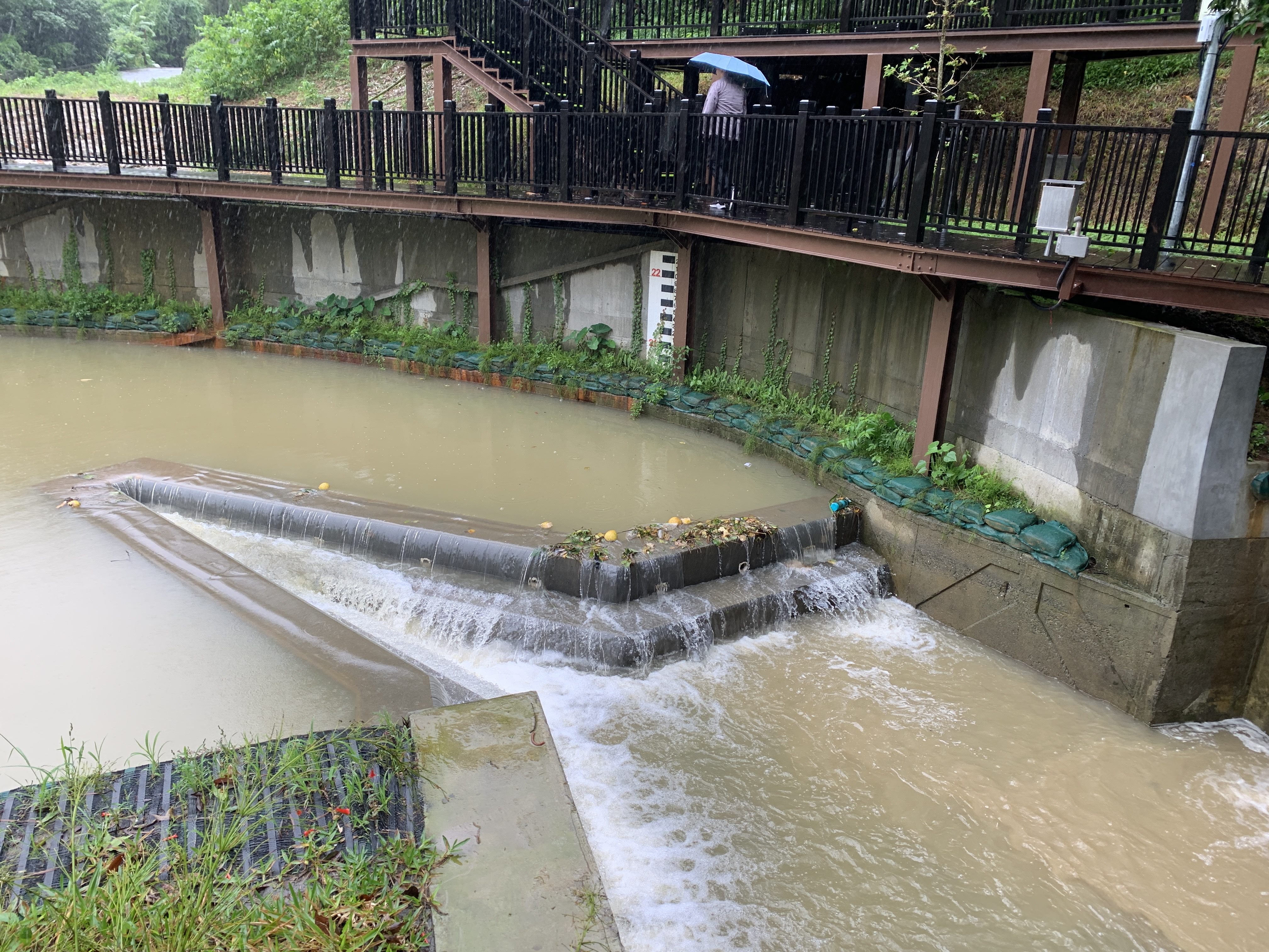 （治川渠活水岸）水利處-米粉坑溪2-溢流堰