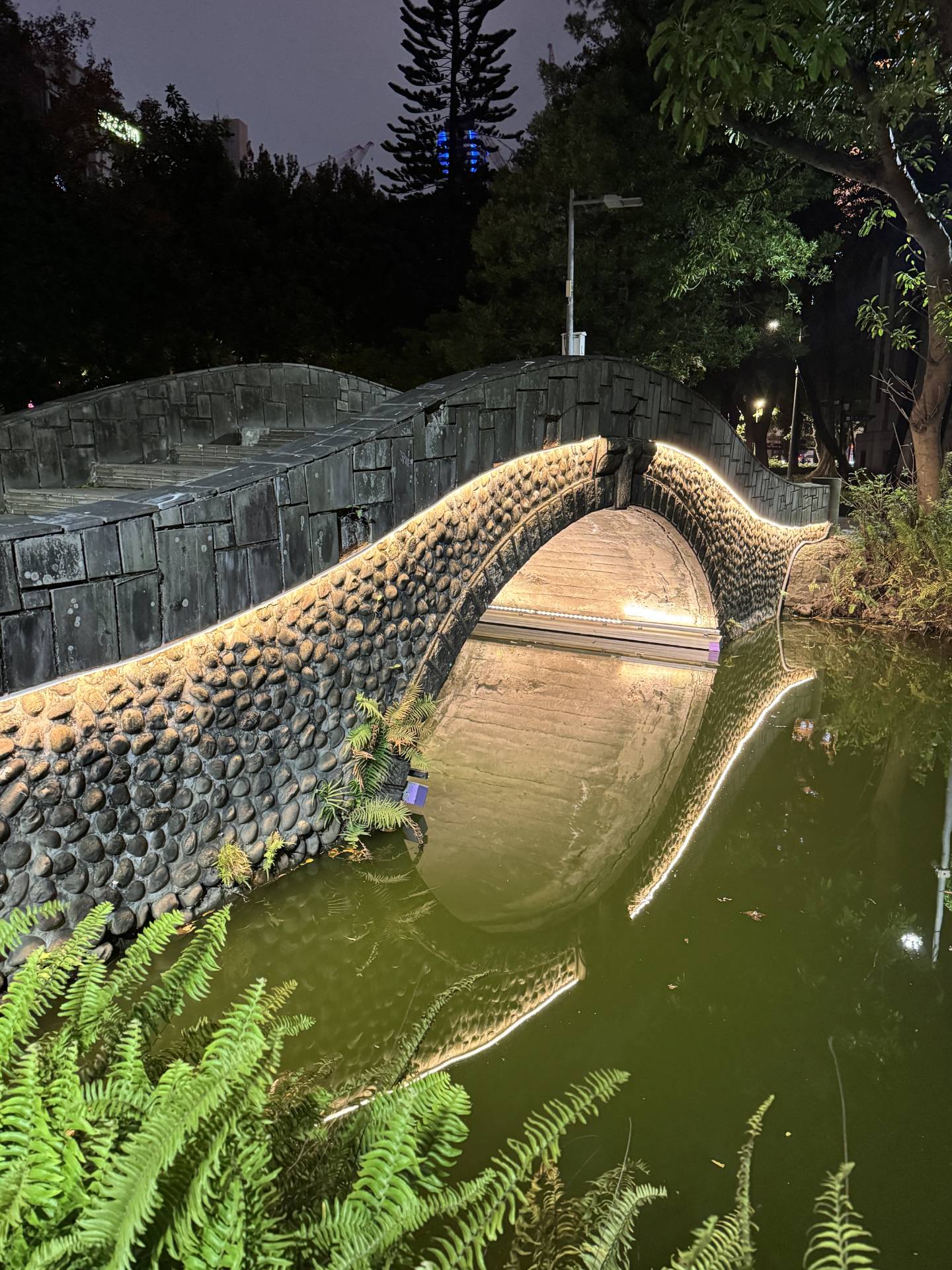 二二八公園池畔周邊照明