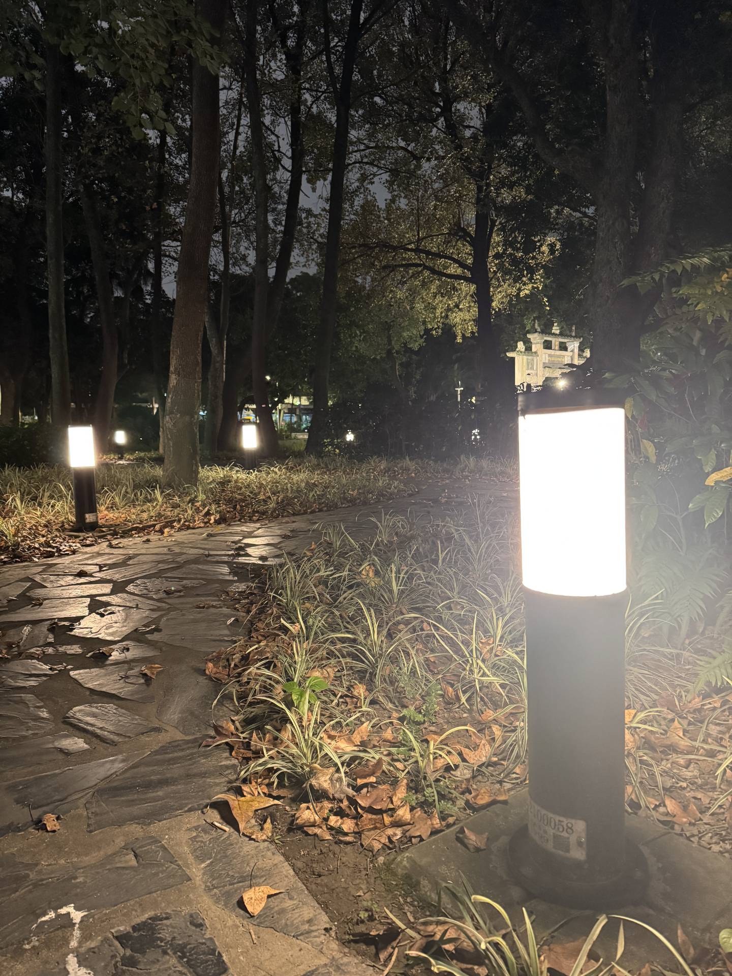 二二八公園內步道沿線路燈全面優化