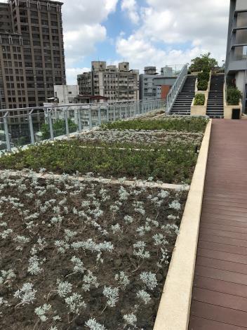 屋頂空中花園