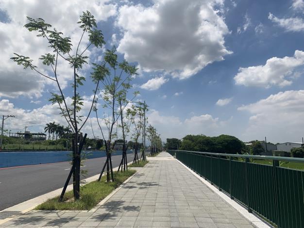 圖7. 大度路3段道路拓寬完工現況照