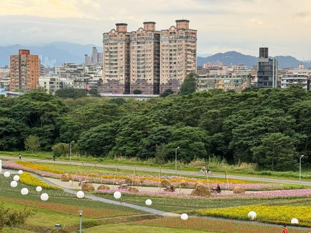 圖7從天橋俯瞰花海2