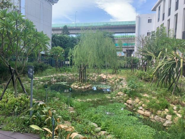生態水池照片