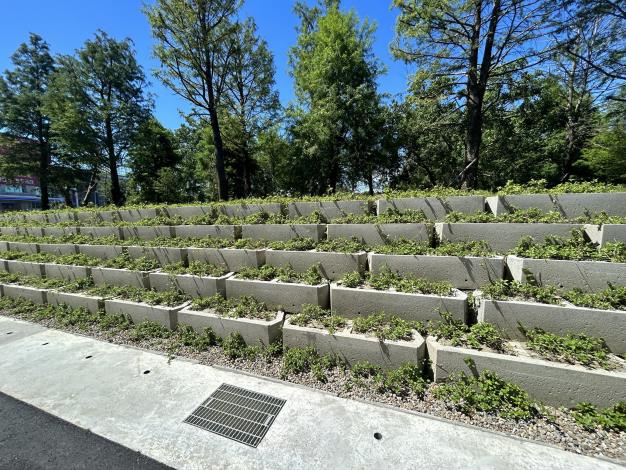 Image 10. Stone revetment and shrub landscaping along the road