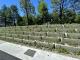 Image 10. Stone revetment and shrub landscaping along the road