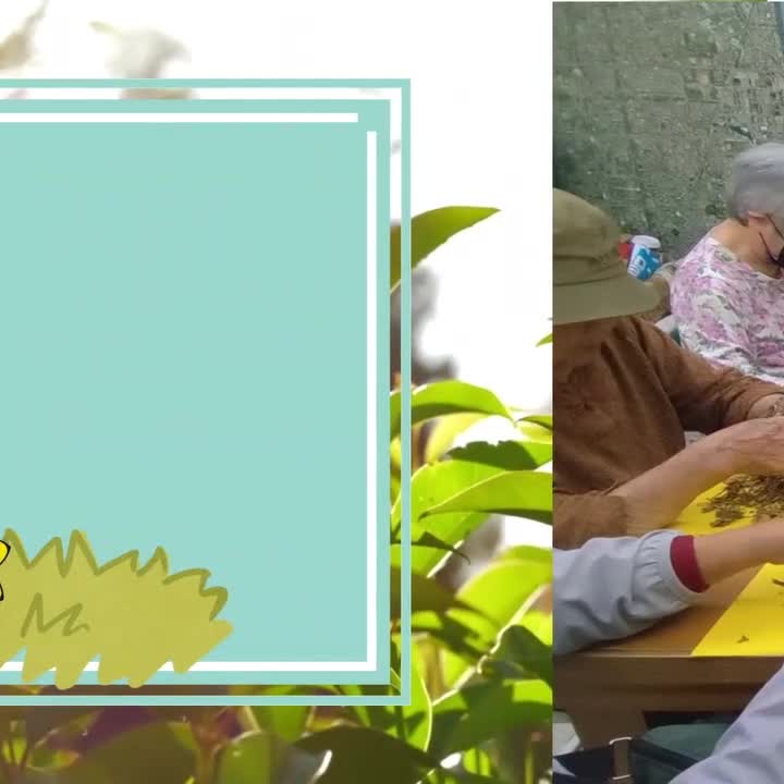 從裡子到面子 魚腥草的愉心體驗